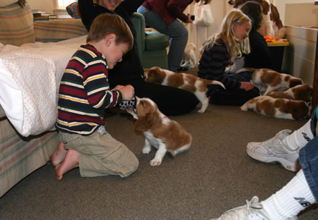 children and puppies